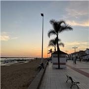 Profesor de ingles y frances